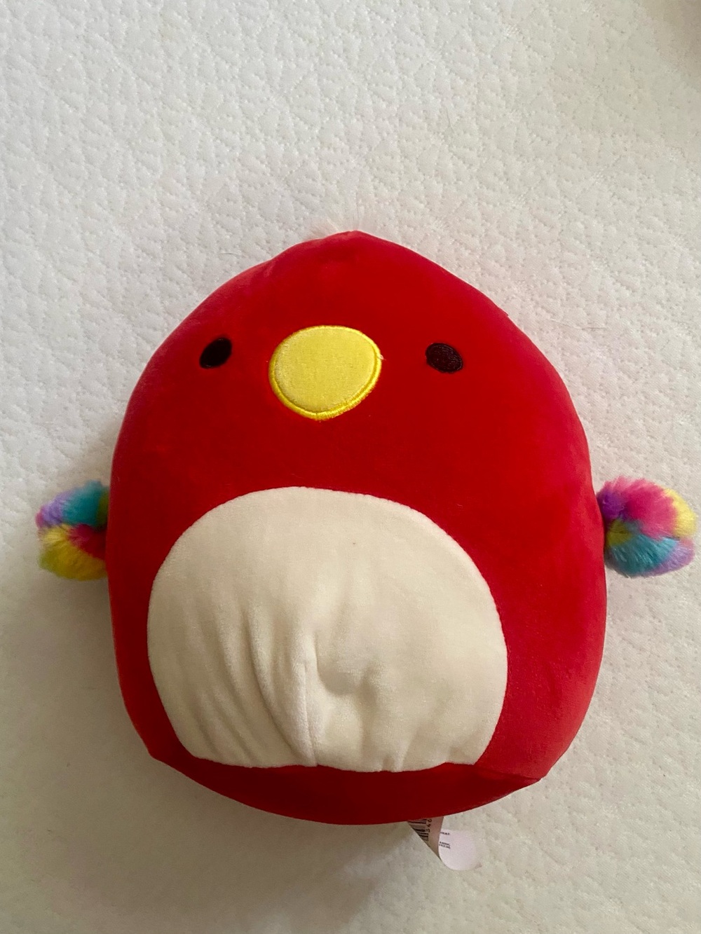 Squishmallows Paco the Red Parrot 8 Inch Plush